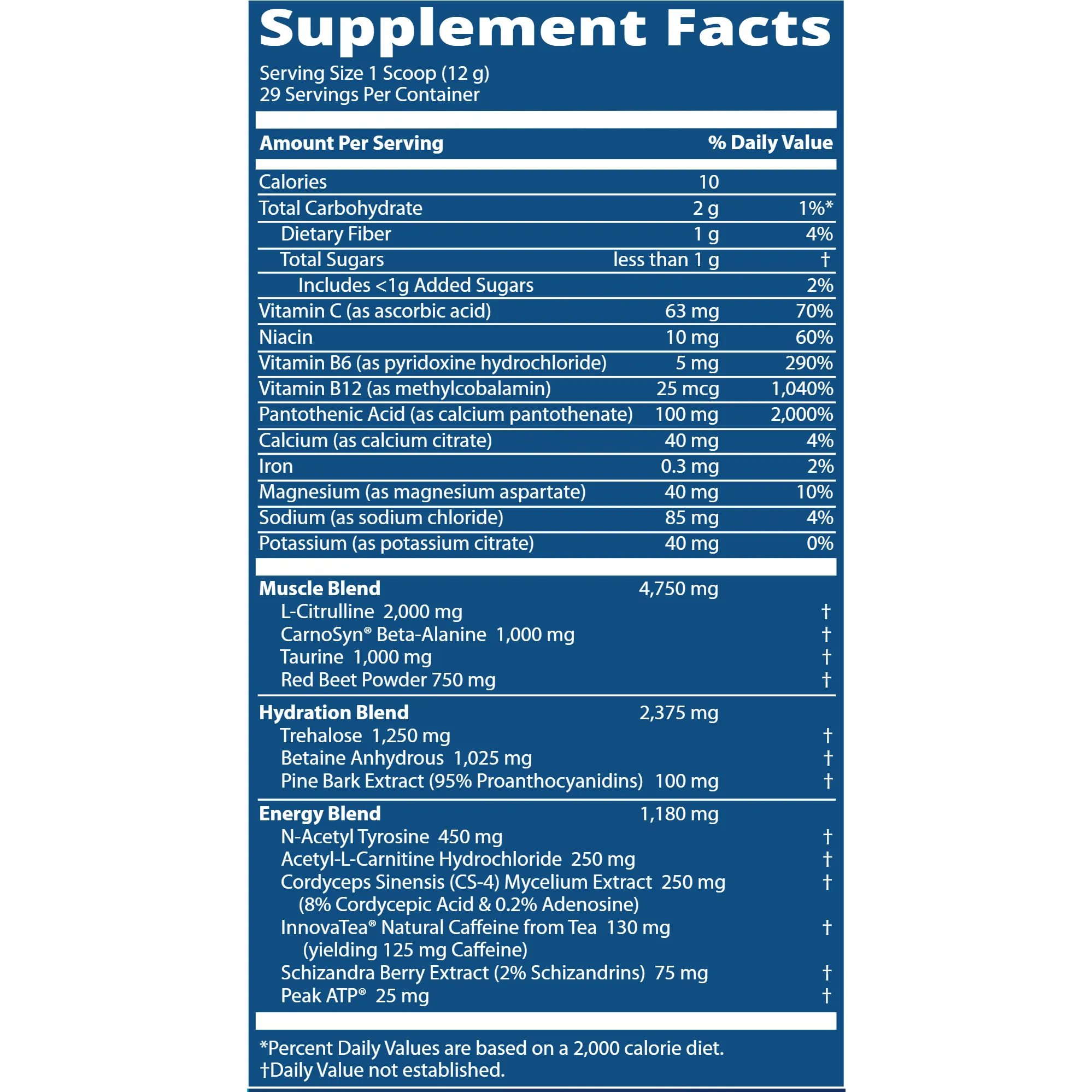 Driven Pre-Workout 350 g by Metabolic Response Modifier