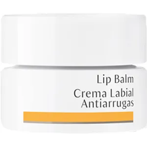 Lip Balm 0.15 fl oz by Dr. Hauschka